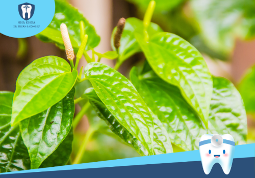 Viêm nha chu có nguy hiểm không? Cách chữa viêm nha chu bằng phương pháp dân gian?